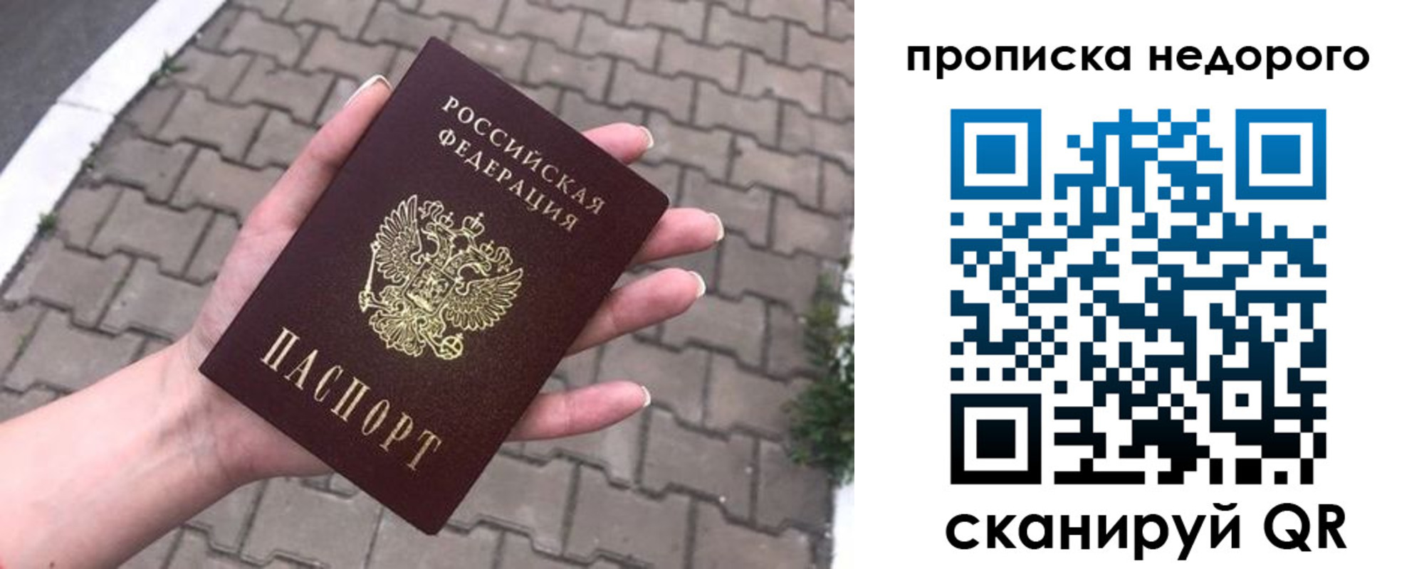 прописка в квартире в Вязьме